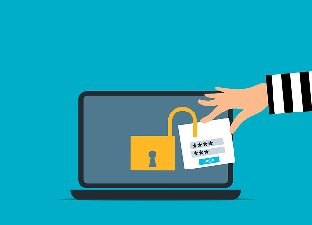 vector image of internet theft